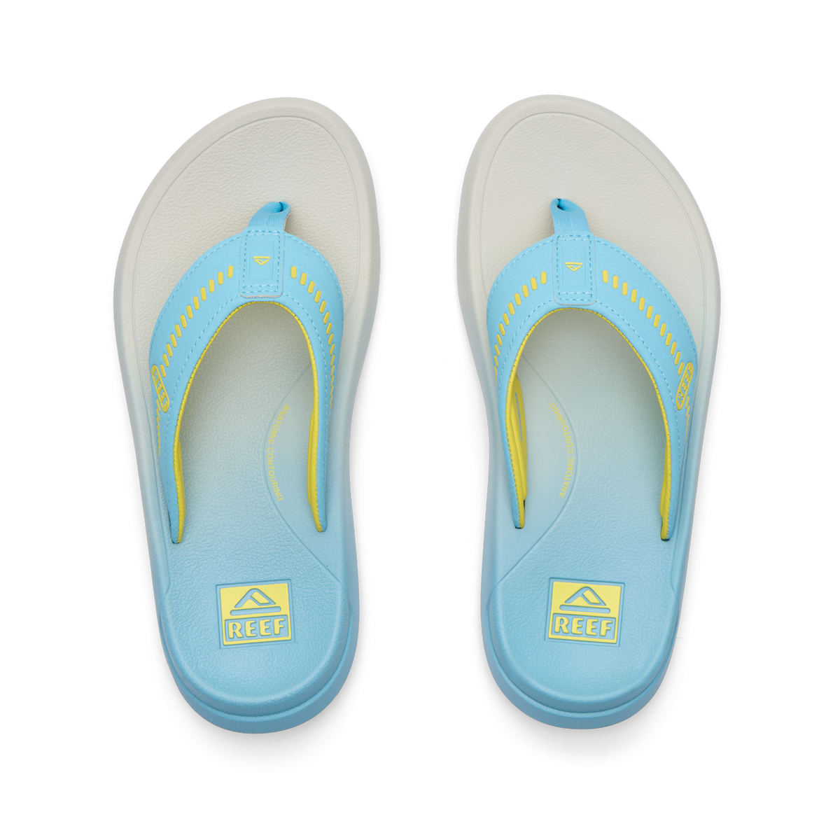 Cruiser - Light Blue/Yellow