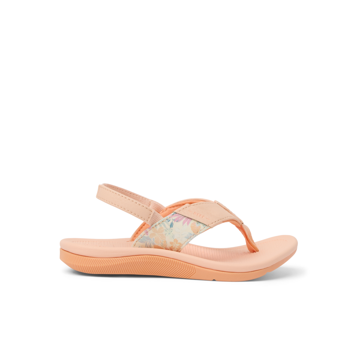 Little Santa Ana - Bellini