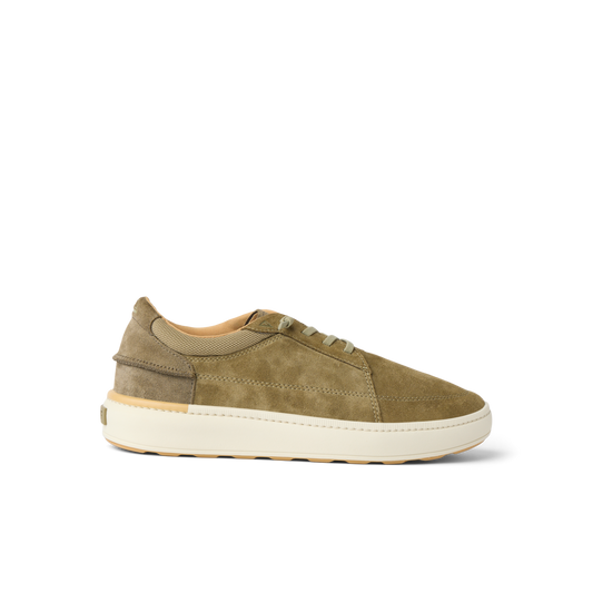 Verano - Olive