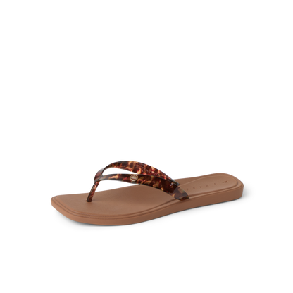 Solaye - Tortoise