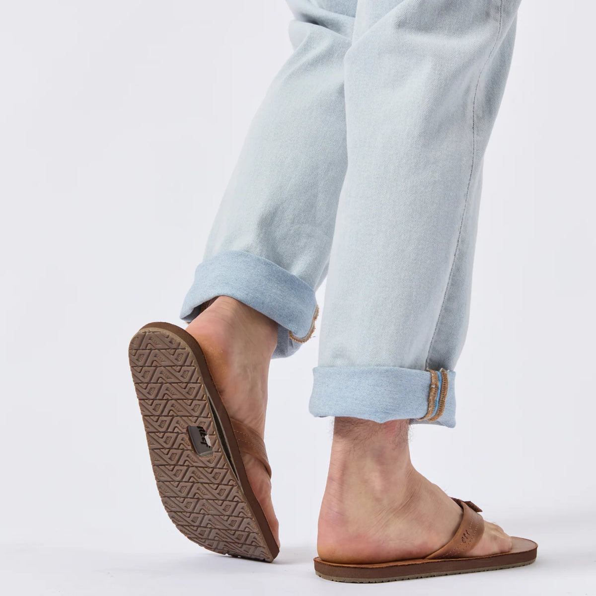 Reef Draftsmen - Bronze Brown
