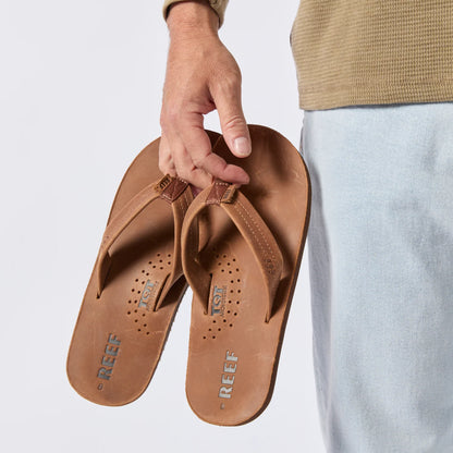 Reef Draftsmen - Bronze Brown