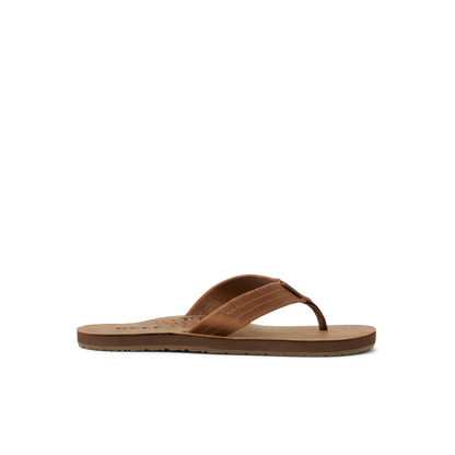Reef Draftsmen - Bronze Brown
